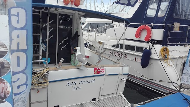 Capitainerie Port Camargue