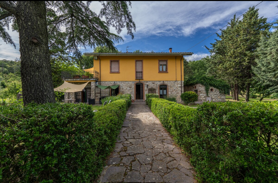 Piccolo ulivo ranch