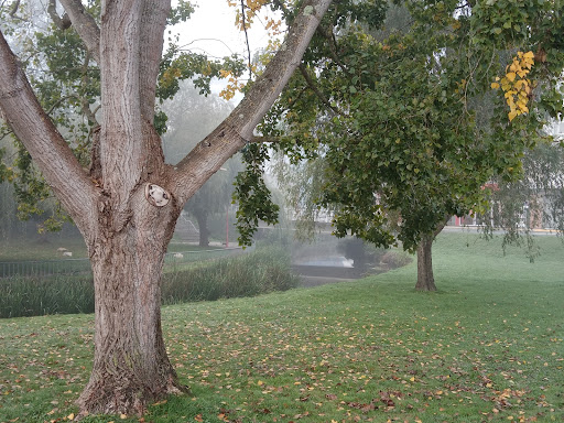 canino de San Martiño Park - Thumbnail