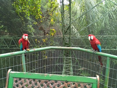 Photos of Biocentro G&uuml;embe