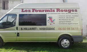 Photo n°1 de fourmis rouges à Dompierre-sur-Charente (Peintre en bâtiment)