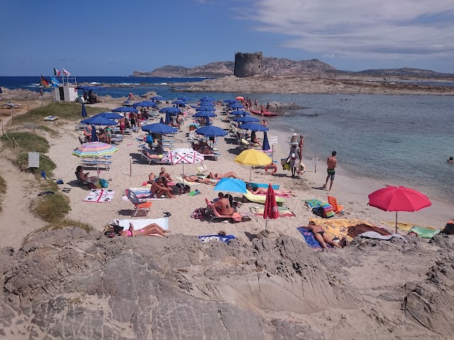 Spiaggia della Pelosetta