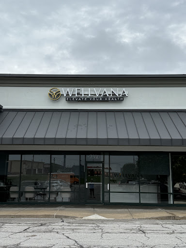 WELLVANA STL
