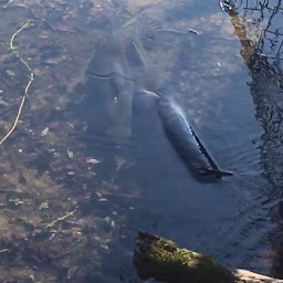 Photo n°2 de Le Cadre de Pêche à Saint-Jean-de-Monts (Club de pêche)