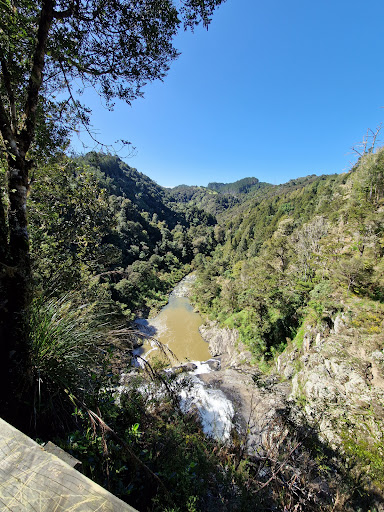 Taheke Falls Carpark and Trailhead - Thumbnail