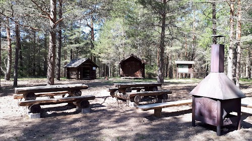 Tolkuse raba matkarada