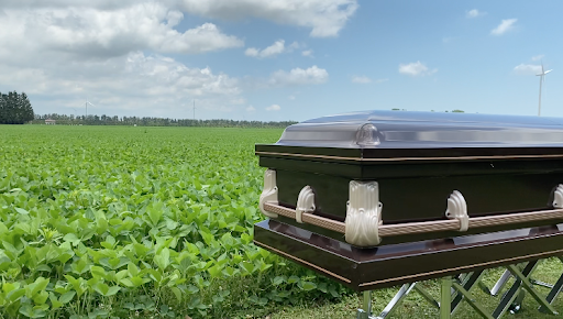 Life Transitions Burial and Cremation Windsor Essex - Thumbnail