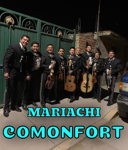 mariachi comonfort de los hermanos laguna