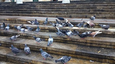 Photos of Alcaldia Fusagasug&aacute;