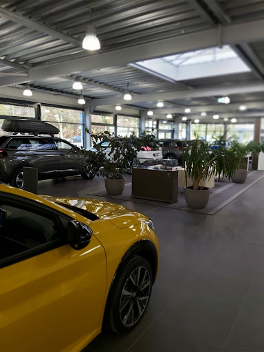 PEUGEOT STELLANTIS &YOU SAARBRÜCKEN - Thumbnail
