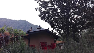 Photos of Centro de eventos la morada