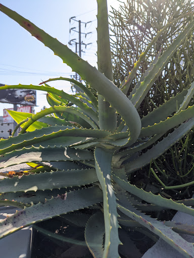 Barry's Weho - Thumbnail