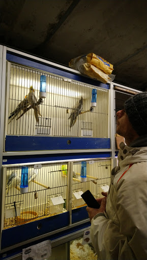Prestwood Petzone - Thumbnail