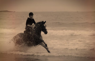 Photo n°23 de Erdeven Équitation à Erdeven (Centre équestre)