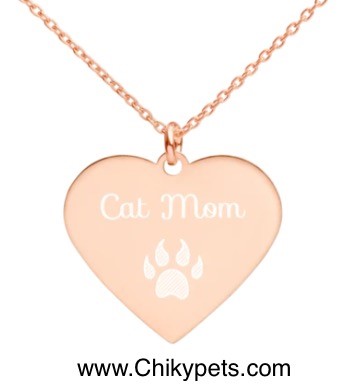 Chikypets - Visual