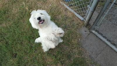 Photos of Your Family Veterinarian