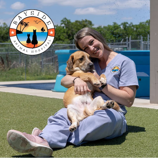 Bayside Animal Hospital | Kemah, TX - Thumbnail