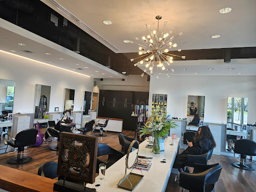Maximum FX Salon - Visual