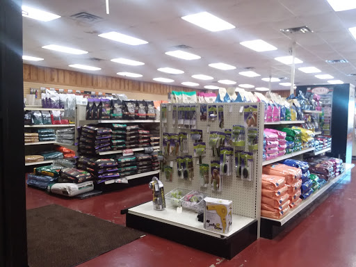 AG-Mart - Visual