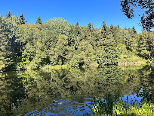 Schornhecke - Thumbnail