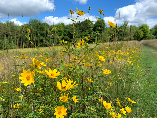 Sewickley Heights Borough Park - Thumbnail