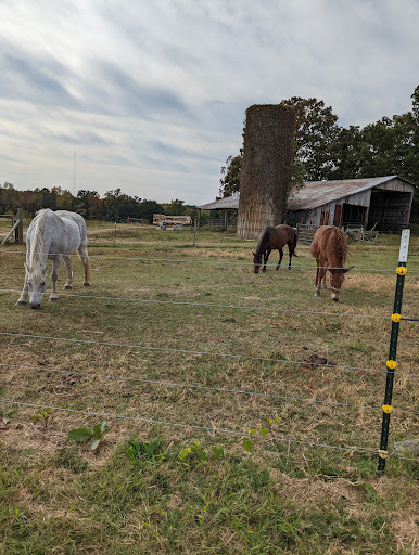 Hodges Family Farm & Pumpkin Patch - main location - Thumbnail