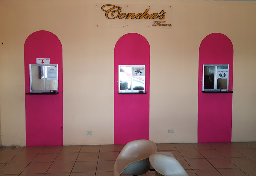 Concha's Tours - Visual