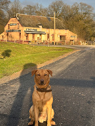 Photo n°50 de LE GODELOT à Locquignol (Restaurant français)