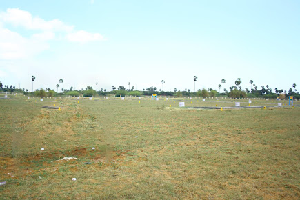 Af1qipolfmb6h7kock0puvpki87ltbjquqqffccfmbv8=s435 K No