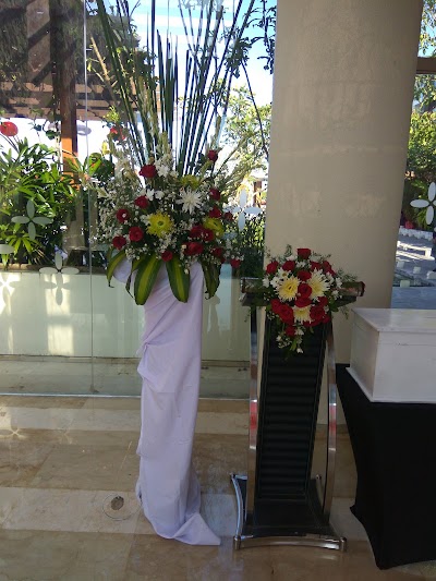 Photos of Syahla Semer