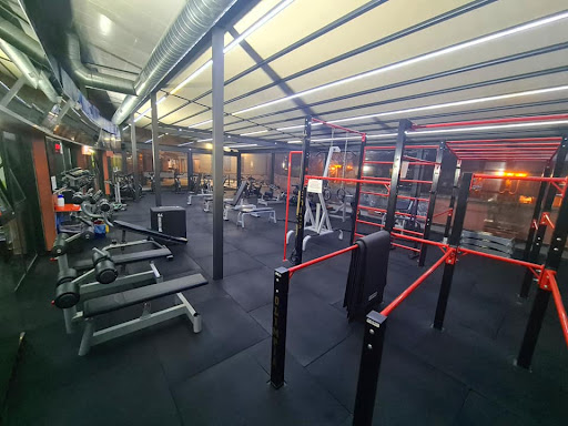Palestra Olimpia new gym - Thumbnail