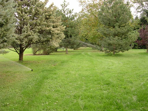 Photo de Cosmos Paysage à Marcilloles (38260)