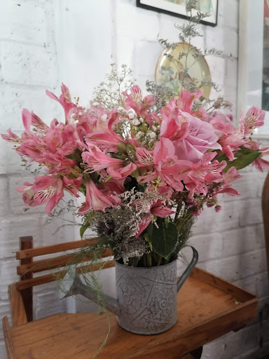 Distribuidora De Flores Villegas - Thumbnail