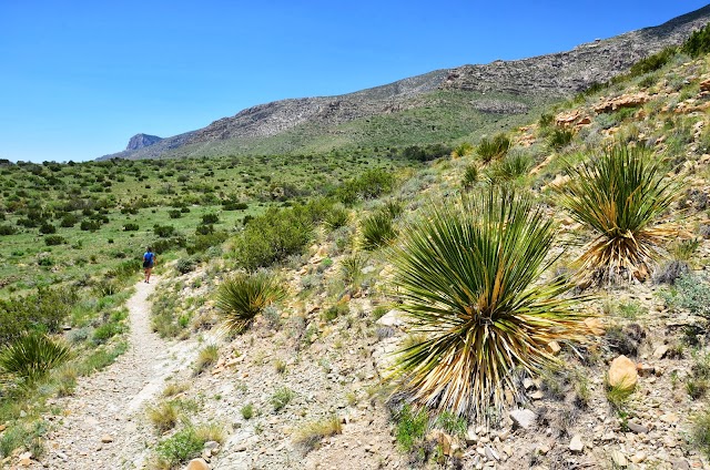 Parc national des Guadalupe Mountains