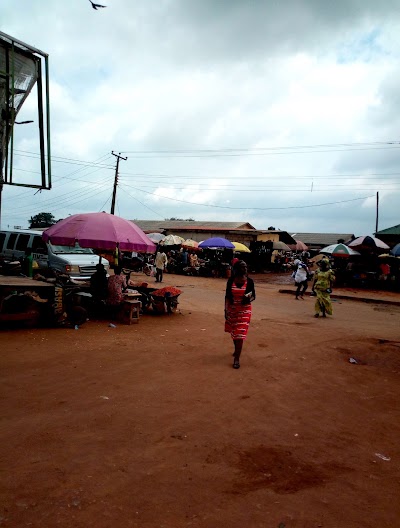 Photos of King intrenational yam production