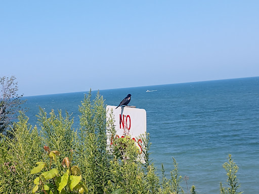 Saybrook Township Park - Thumbnail
