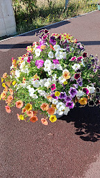 Photo n°35 de Camping de la Mer à Merville-Franceville-Plage (Terrain de camping)
