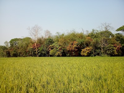Photos of Garden Village