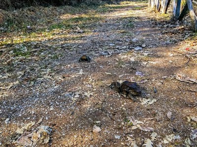 Monte Covello, Laghetto Antincendio