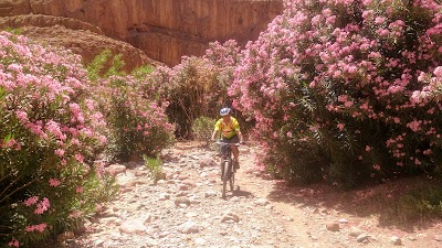 Photos of Bike Adventures In Morocco company
