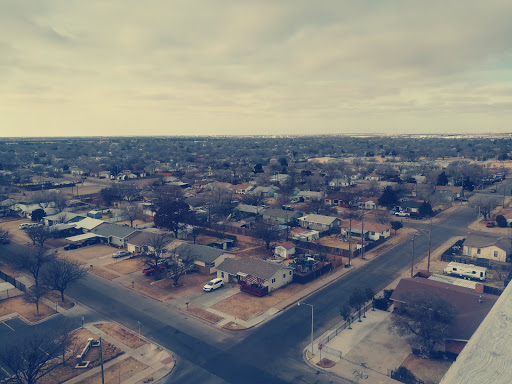 The Roof - Thumbnail