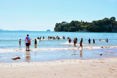 Photos of The Mercury Bay Informer