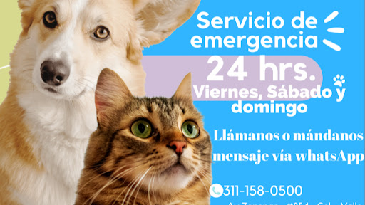 Veterinaria Tzuku