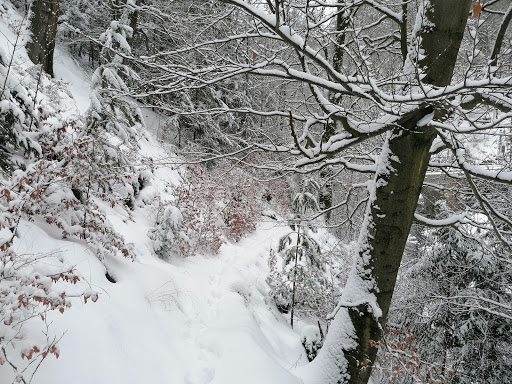 Katzentreppenweg - Thumbnail