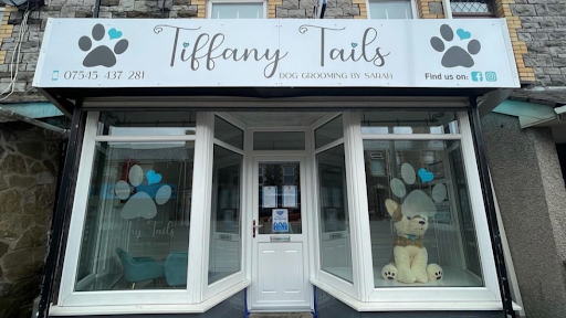 TiffanyTails - Visual