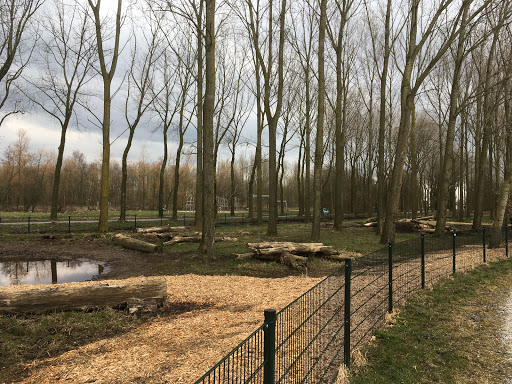 Hondenspeelterrein Hitland-Noord - Thumbnail