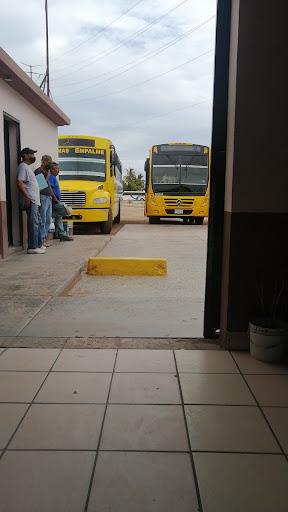 Transportes Unidos de Guaymas-Empalme - Thumbnail