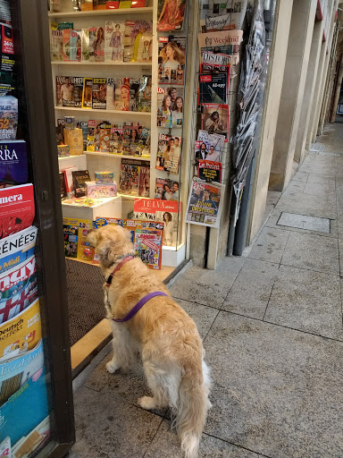 Libreria Leoz - Visual