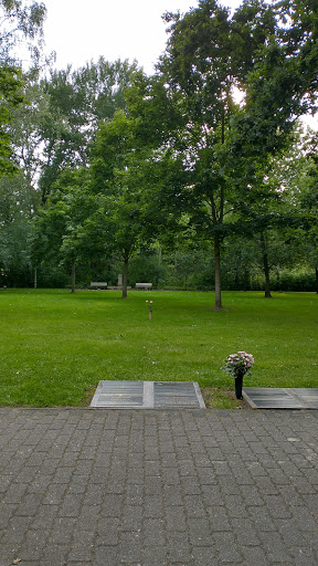 Baumgräber - Visual