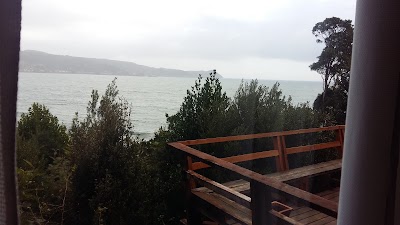 Photos of "Playa Grande De Niebla" Cabins